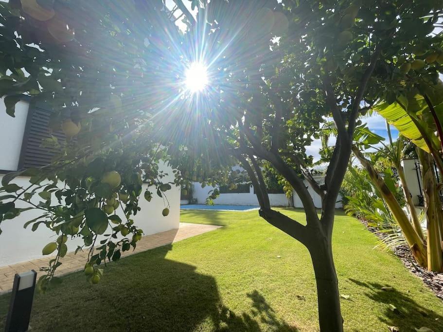 Sunset Villa Arcos 阿尔科斯-德拉弗龙特拉 外观 照片