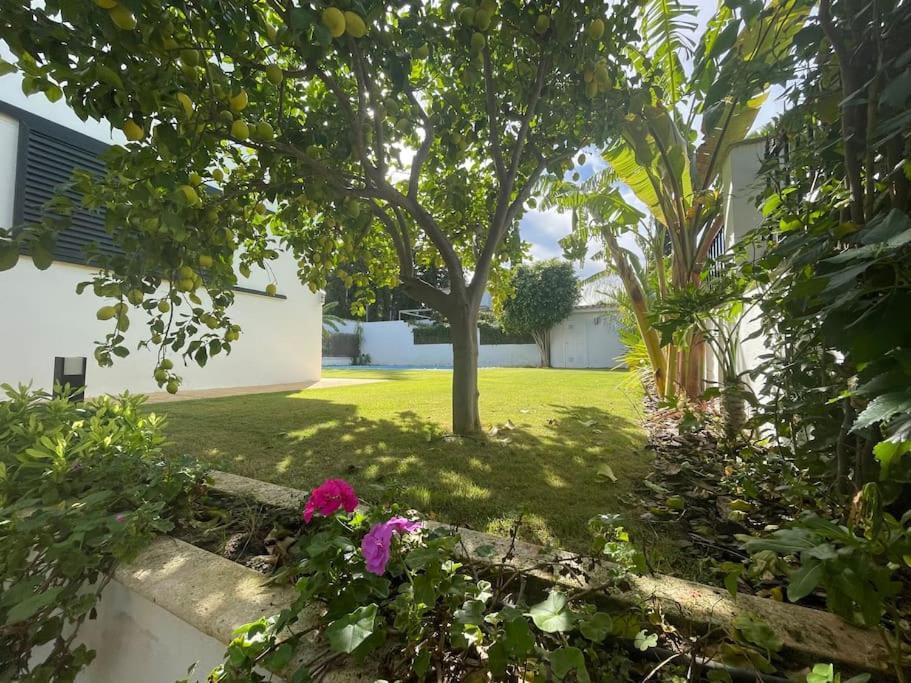 Sunset Villa Arcos 阿尔科斯-德拉弗龙特拉 外观 照片