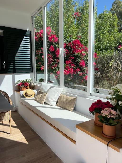 Sunset Villa Arcos 阿尔科斯-德拉弗龙特拉 外观 照片