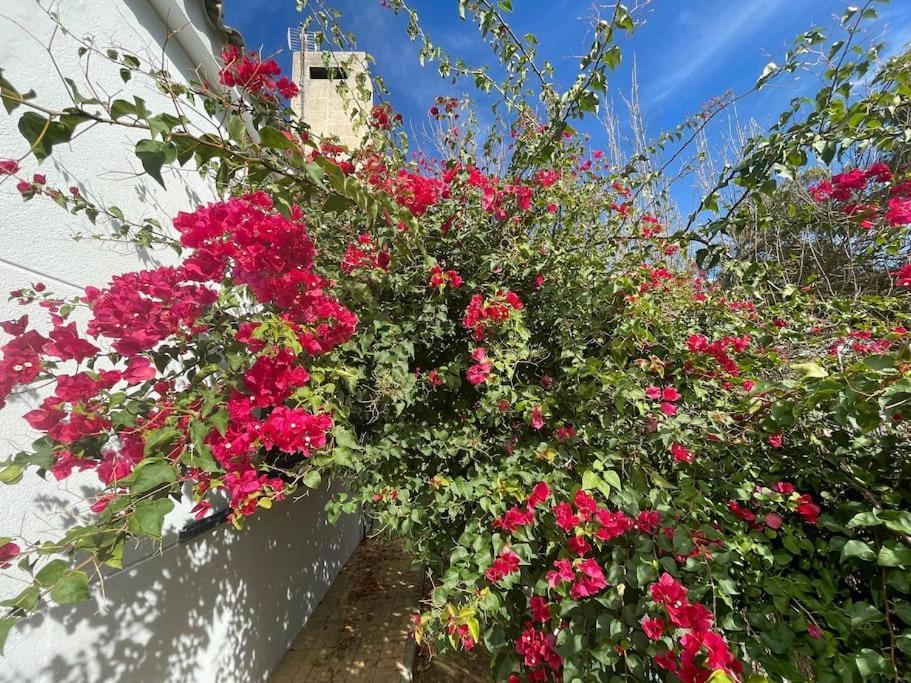 Sunset Villa Arcos 阿尔科斯-德拉弗龙特拉 外观 照片