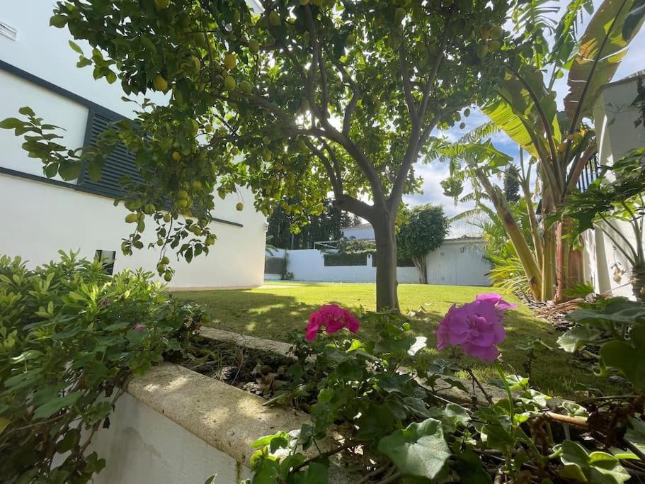 Sunset Villa Arcos 阿尔科斯-德拉弗龙特拉 外观 照片